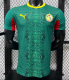 Senegal  Away Player 1:1 Quality Soccer Jersey 26/27（2026）