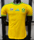 South Africa Home Player 1:1 Quality Soccer Jersey 26/27（2026）