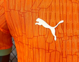 Cote d'Ivoire Home Player 1:1 Quality Soccer Jersey 26/27（2026）