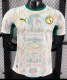 Senegal Home Player 1:1 Quality Soccer Jersey 26/27（2026）