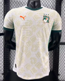 Cote d'Ivoire Away Player 1:1 Quality Soccer Jersey 26/27（2026）