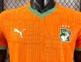 Cote d'Ivoire Home Player 1:1 Quality Soccer Jersey 26/27（2026）