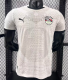 Egypt Away Player 1:1 Quality Soccer Jersey 26/27（2026）