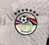 Egypt Away Player 1:1 Quality Soccer Jersey 26/27（2026）