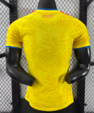 Colombia Home Player 1:1 Quality Soccer Jersey 26/27（2026）