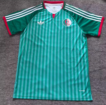 Algeria Away Fans 1:1 Quality Soccer Jersey 26/27（2026）