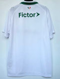 Palmeiras Away Fans 1:1 Quality Soccer Jersey 26/27