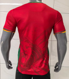 Cameroon Away Fans 1:1 Quality Soccer Jersey 25/26