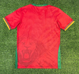 Cameroon Away Fans 1:1 Quality Soccer Jersey 25/26