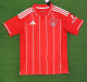 Nottingham Forest Home Fans 1:1 Quality Soccer Jersey 25/26