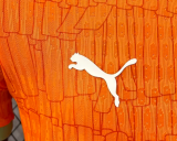 Cote d'Ivoire Home Player 1:1 Quality Soccer Jersey 25/26