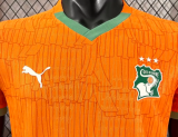 Cote d'Ivoire Home Player 1:1 Quality Soccer Jersey 25/26