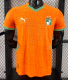 Cote d'Ivoire Home Player 1:1 Quality Soccer Jersey 25/26