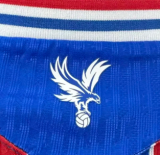 Crystal Palace Home Player 1:1 Quality Soccer Jersey 25/26