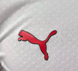AC Milan Away Long Sleeve Player 1:1 Quality Soccer Jersey 25/26
