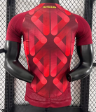 Germany Away Player 1:1 Quality Soccer Jersey 25/26