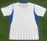 Brighton Away Fans 1:1 Quality Soccer Jersey 26/27