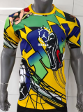 Brazil Special Edition Fans 1:1 Quality Soccer Jersey 26/27（2026）