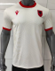 Albania Away Fans 1:1 Quality Soccer Jersey 26/27（2026）