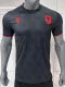 Albania Third Away Fans 1:1 Quality Soccer Jersey 26/27（2026）