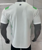 Ireland Away Fans 1:1 Quality Soccer Jersey 26/27（2026）