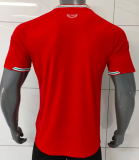 Wales Home Fans 1:1 Quality Soccer Jersey 26/27（2026）