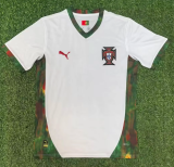 Portugal Special Edition Fans 1:1 Quality Soccer Jersey 26/27（2026）