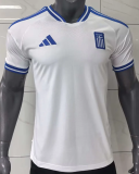 Greece Special Edition Fans 1:1 Quality Soccer Jersey 26/27（2026）