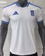 Greece Special Edition Fans 1:1 Quality Soccer Jersey 26/27（2026）