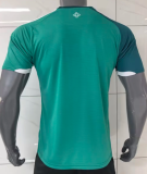 Northern Ireland Home Fans 1:1 Quality Soccer Jersey 26/27（2026）