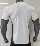 Portugal Special Edition Fans 1:1 Quality Soccer Jersey 26/27（2026）