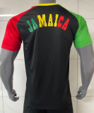 Jamaica Goalkeeper Fans 1:1 Quality Soccer Jersey 26/27（2026）