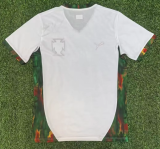 Portugal Special Edition Fans 1:1 Quality Soccer Jersey 26/27（2026）