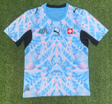 Switzerland Away Fans 1:1 Quality Soccer Jersey 26/27（2026）