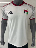 United Arab Emirates Home Fans 1:1 Quality Soccer Jersey 26/27
