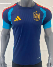 Spain Special Edition Fans 1:1 Quality Soccer Jersey 26/27（2026）