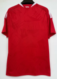 Benfica Home Fans 1:1 Quality Soccer Jersey 26/27