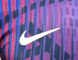 PSG Special Edition Player 1:1 Quality Soccer Jersey 26/27