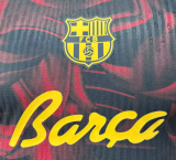 Barcelona Special Edition Player 1:1 Quality Soccer Jersey 26/27
