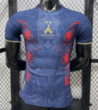 PSG Special Edition Player 1:1 Quality Soccer Jersey 26/27