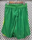 Nigeria Home  Player 1:1 Quality Soccer Shorts 26/27