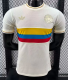 Colombia 100th Anniversary Edition Player  1:1 Quality Soccer Jersey（2024）