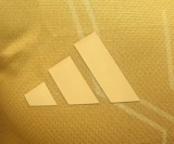 Argentina Special Edition Player 1:1 Quality Soccer Jersey 26/27 (2026)