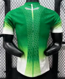 Cote d'Ivoire Special Edition Player 1:1 Quality Soccer Jersey 26/27（2026）
