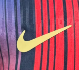 Barcelona Special Edition Player 1:1 Quality Soccer Jersey 26/27