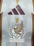 Mexico Special Edition Player 1:1 Quality Soccer Jersey 26/27（2026）