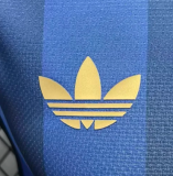 Argentina Special Edition Player 1:1 Quality Soccer Jersey 26/27 (2026)