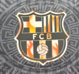 Barcelona Special Edition Player 1:1 Quality Soccer Jersey 26/27