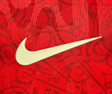 Portugal Special Edition Player 1:1 Quality Soccer Jersey 26/27（2026）