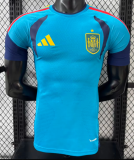 Spain Training Suit Player 1:1 Quality Soccer Jersey 26/27（2026）